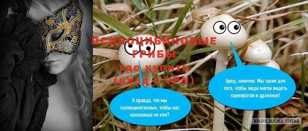 гашик Арсеньев