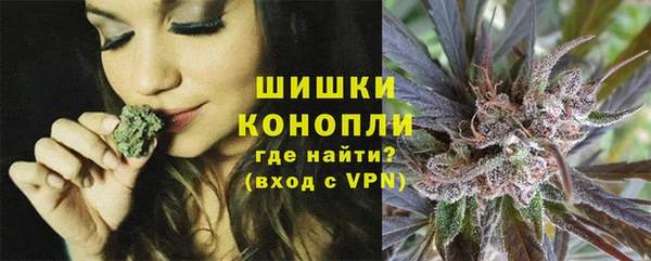 гашик Арсеньев