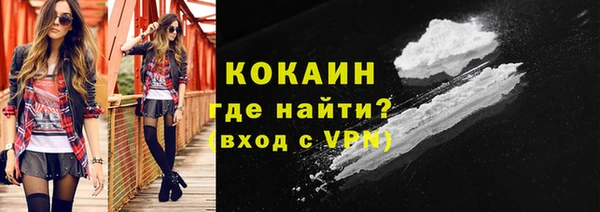 гашик Арсеньев