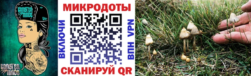 Галлюциногенные грибы GOLDEN TEACHER  даркнет формула  Губаха 
